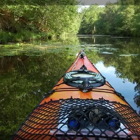 La Brise Des Bois