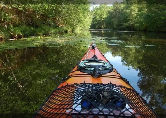 La Brise Des Bois